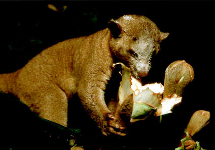 1543559334_8869c3e0b2